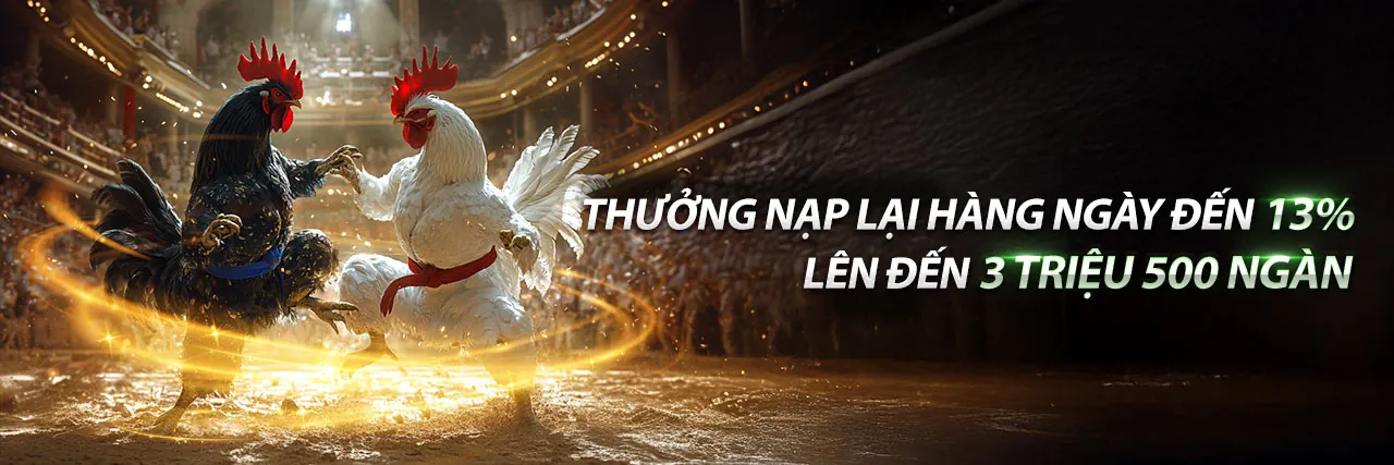 Đá gà trực tuyến EV888 Login